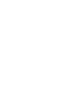 Valsts dzelzceļa tehniskā inspekcija